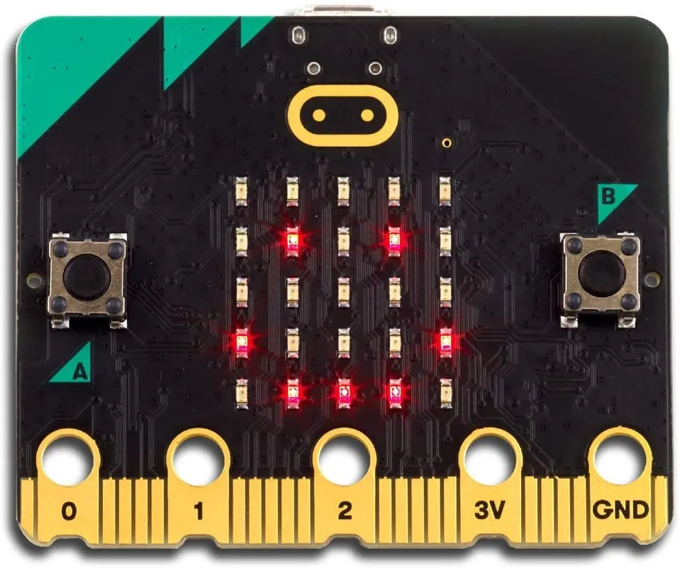 BBC micro:bit v2 go with Black Case