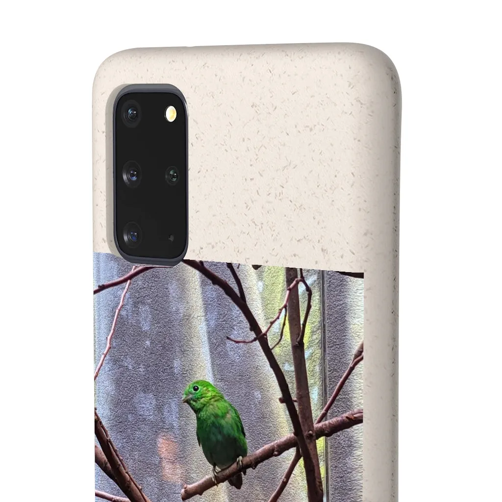 Green Bird Biodegradable Case