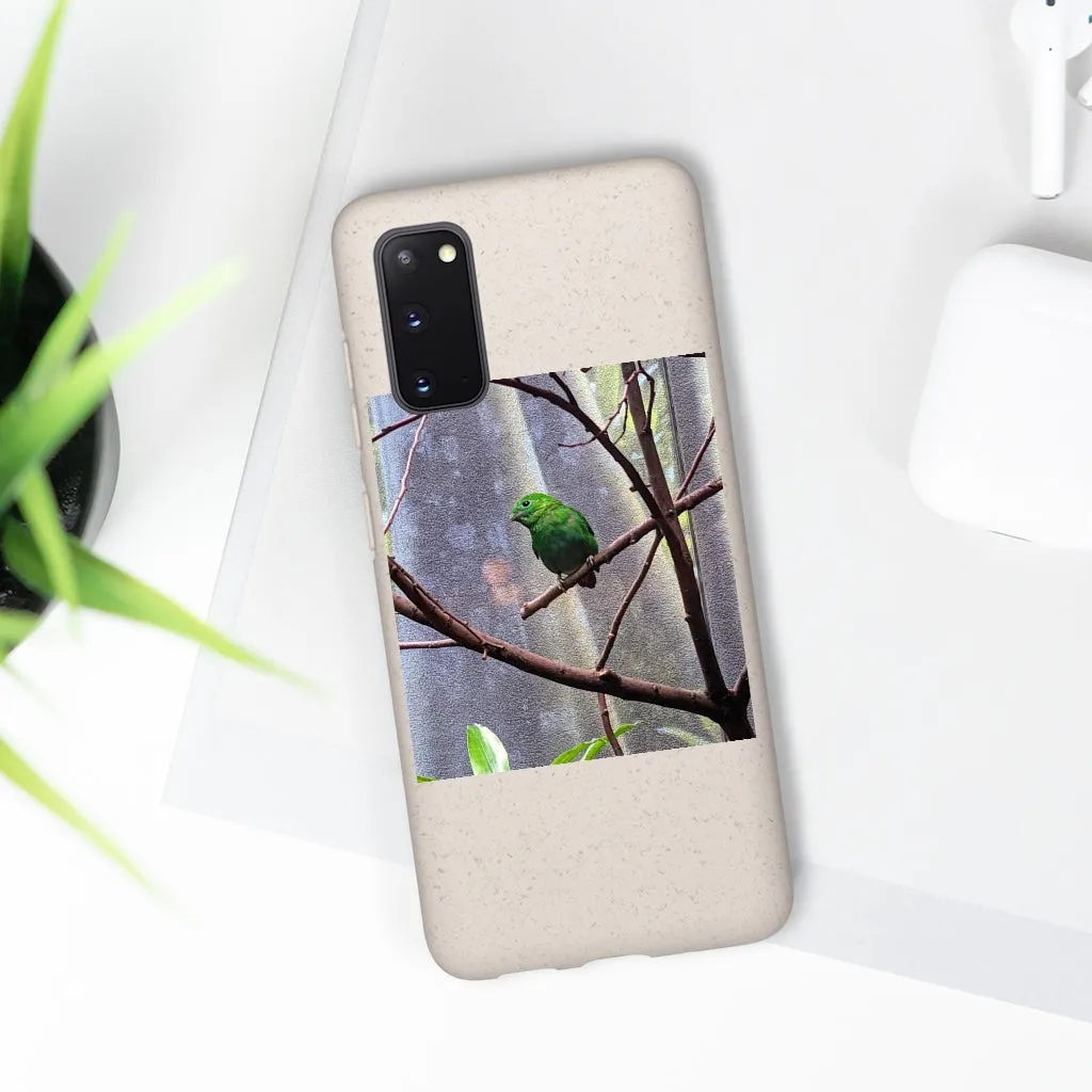 Green Bird Biodegradable Case