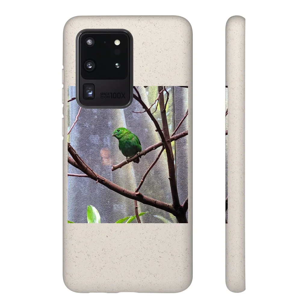 Green Bird Biodegradable Case