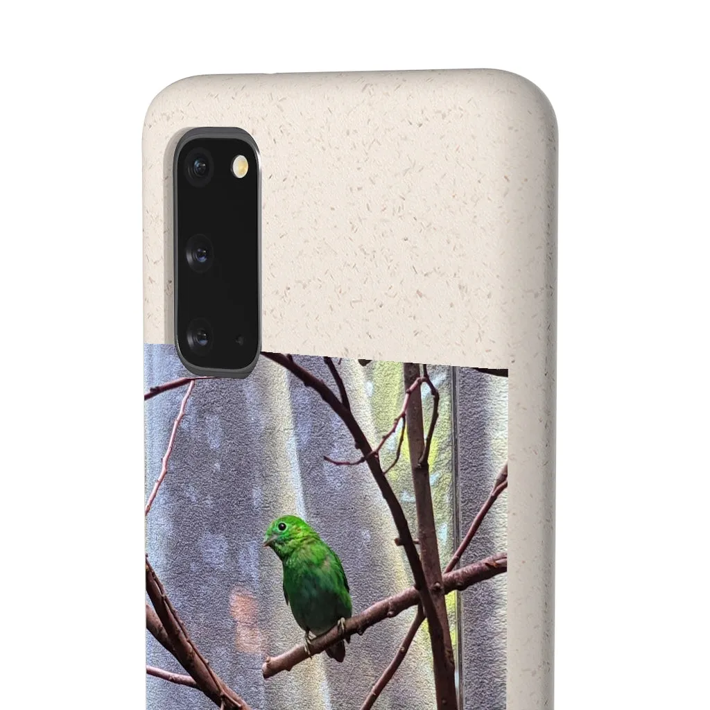 Green Bird Biodegradable Case