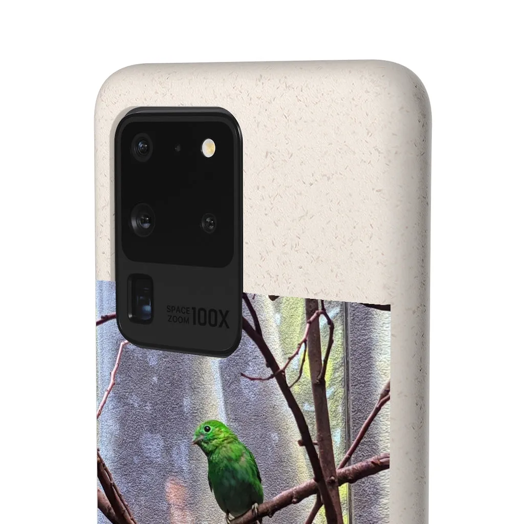 Green Bird Biodegradable Case