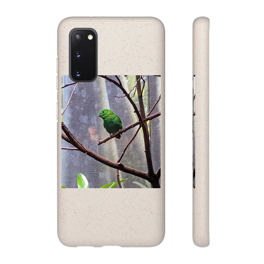 Green Bird Biodegradable Case