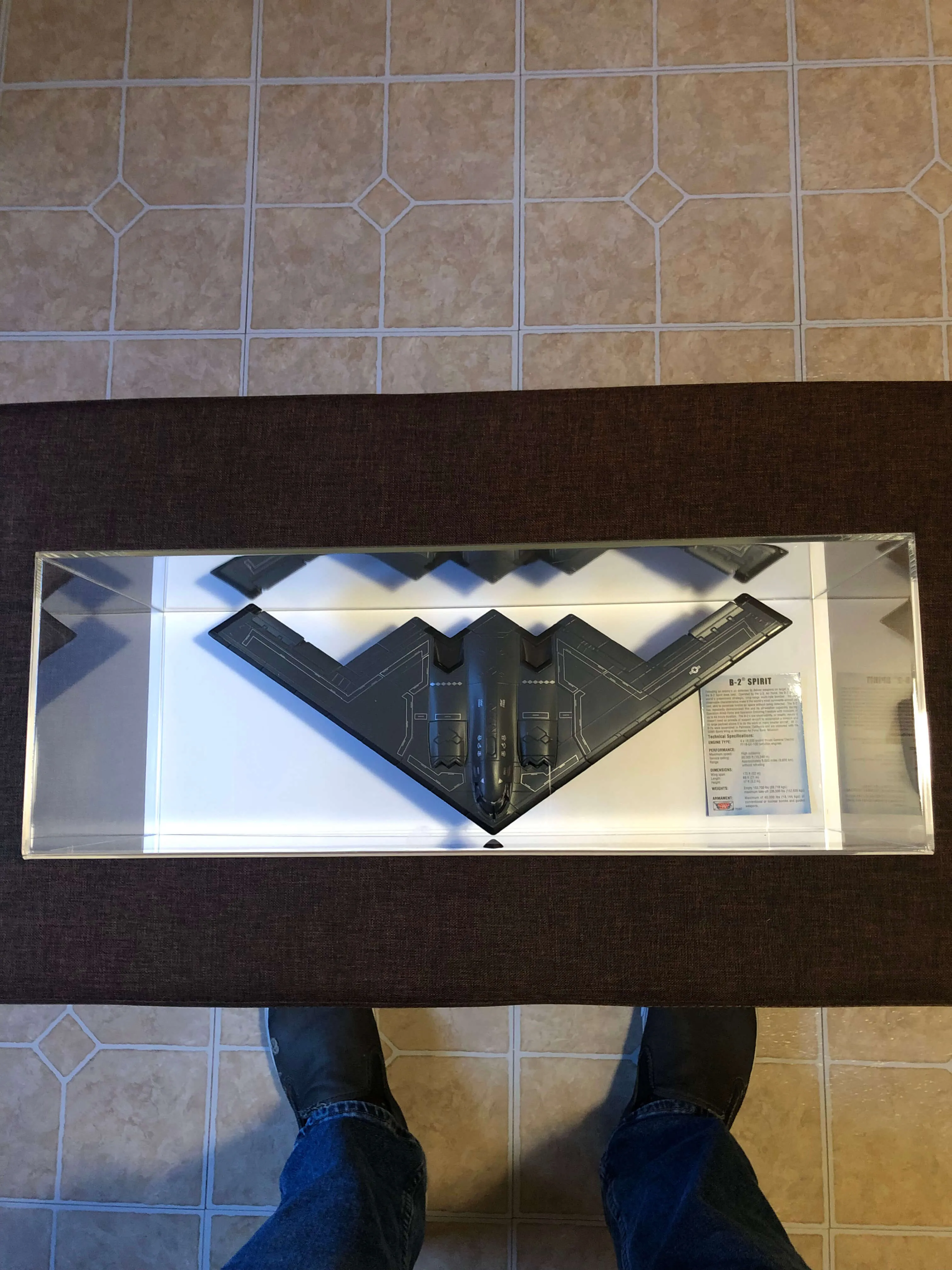 Medium Acrylic Display Case 17"x6"x7"