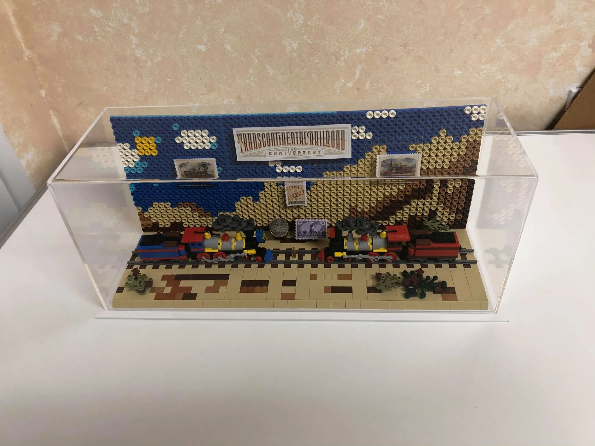 Medium Acrylic Display Case 17"x6"x7"