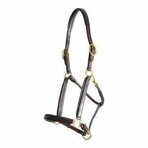 Personalized Padded Leather Halter